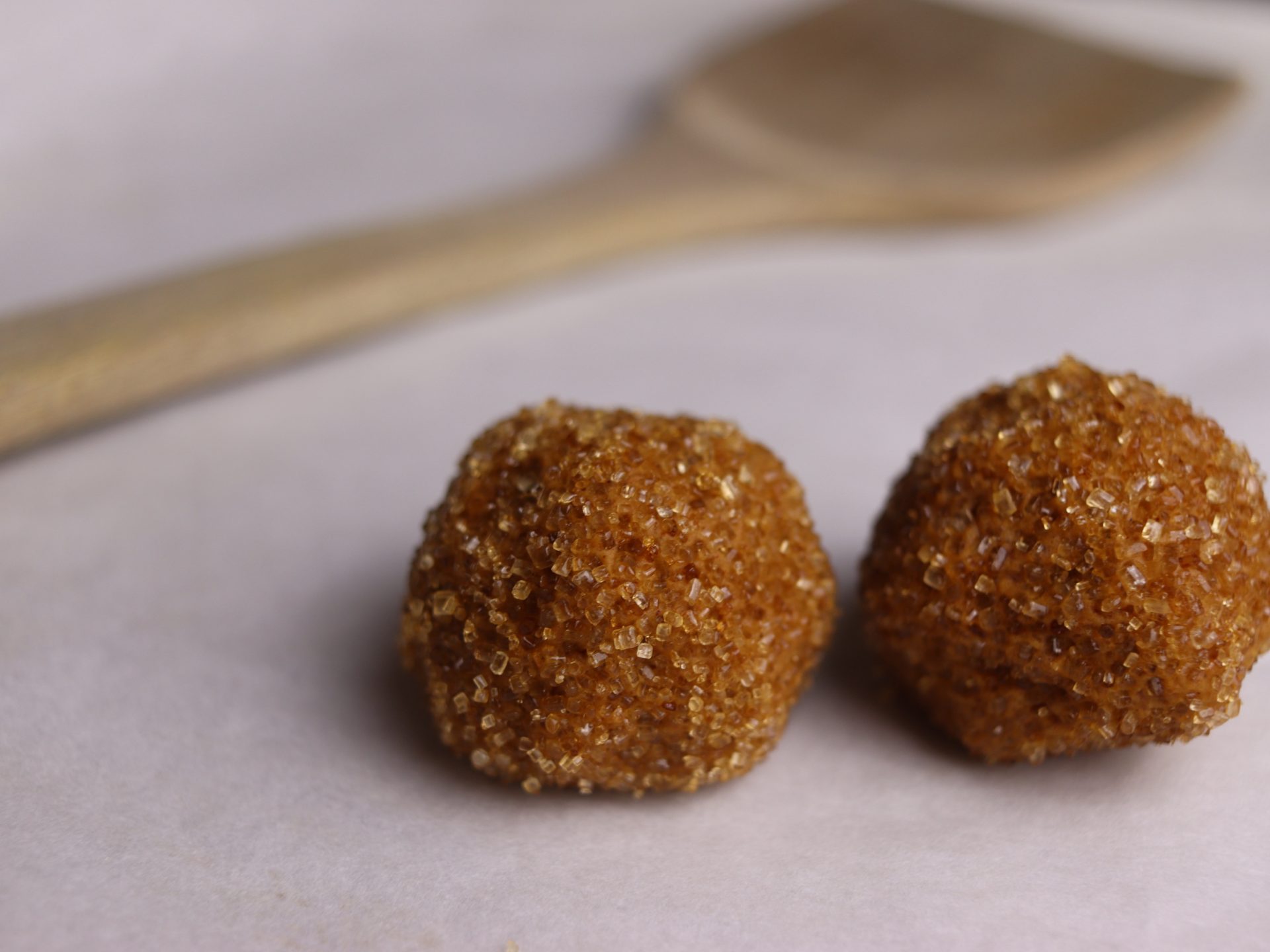 Gingerbread Cookie Dough